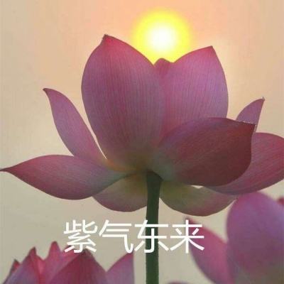 亚克传承r最新版下载